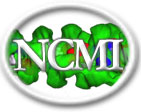 NCMI Logo
