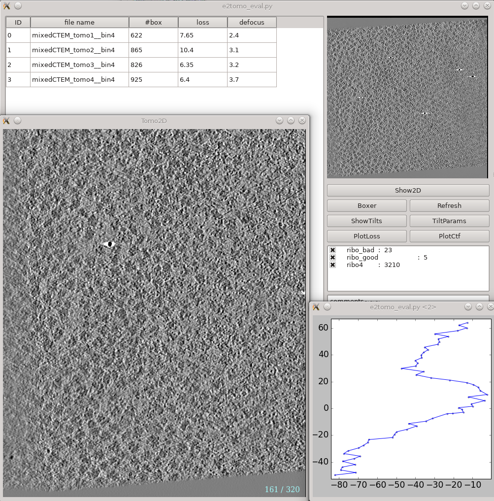 Tomogram evaluation