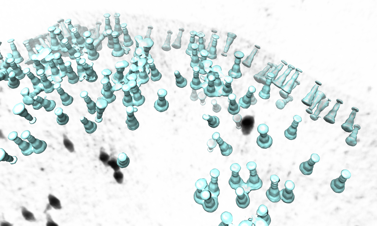 Map particles to tomograms