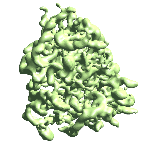 Ribosome motion 1